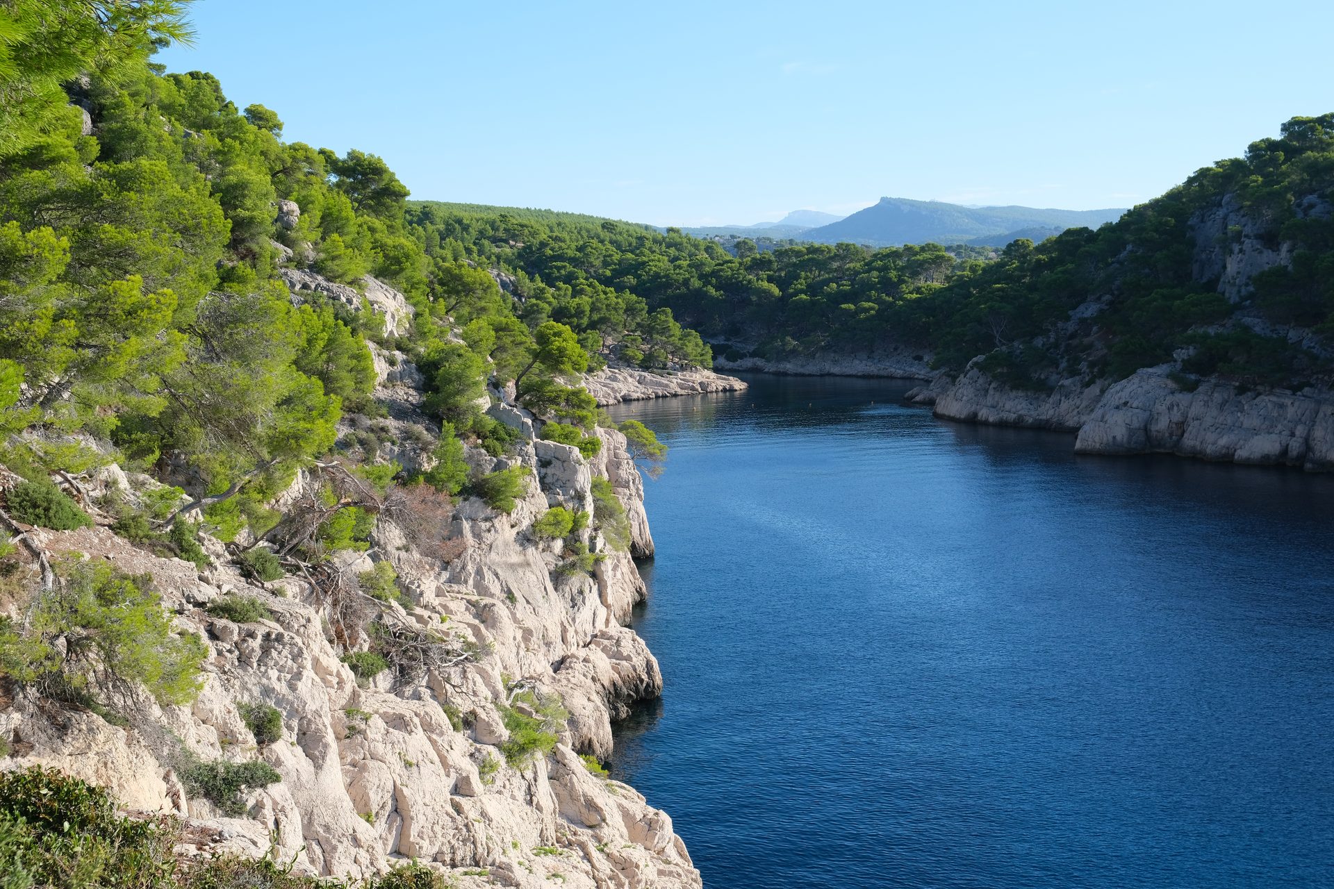 Calanque de Port-Pin in Provence-Alpes-Côte d'Azur (Cassis), France