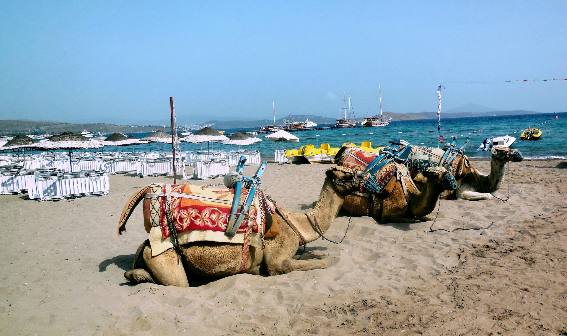 Camel Beach (Kargı) in Muğla (Bodrum), Turkey
