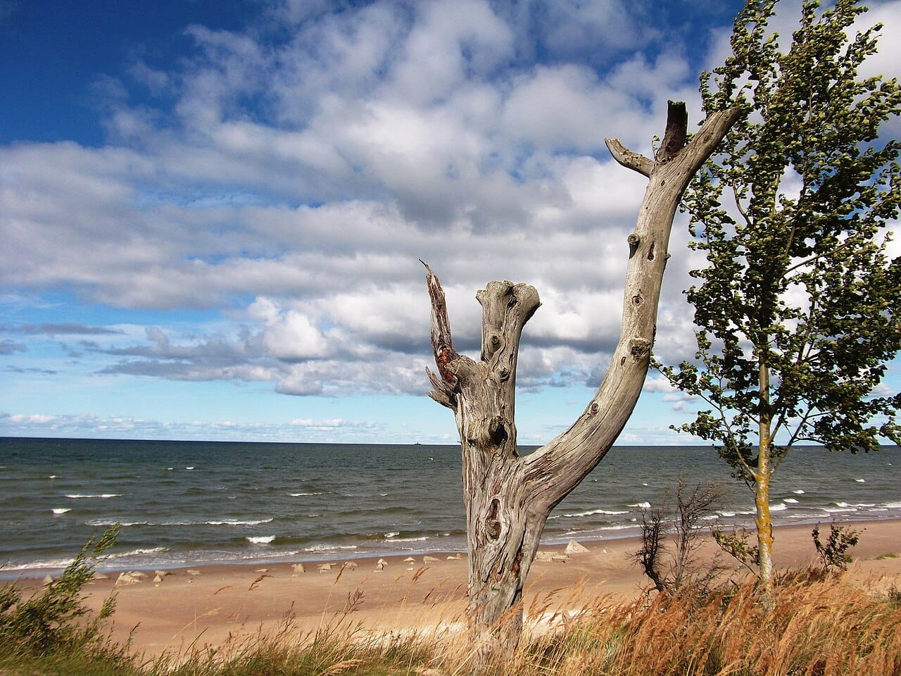 Cape Kolka