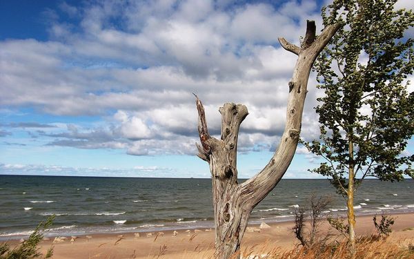 Cape Kolka in Kurzeme, Latvia