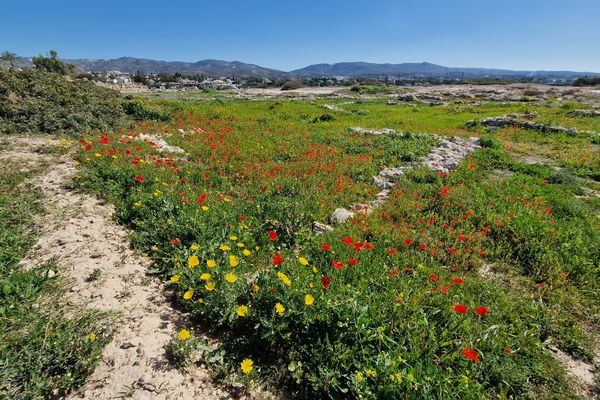 Corallia Beach (Laourou) in Peyia, Paphos, Cyprus