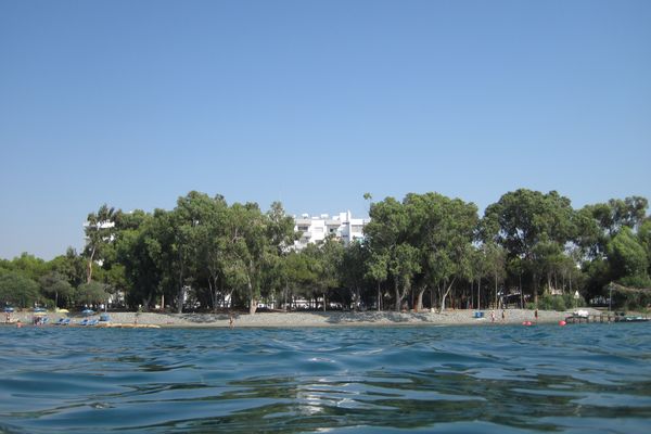 Dasoudi Beach (Eucalyptus Park) in Germasogeia, Limassol, Cyprus