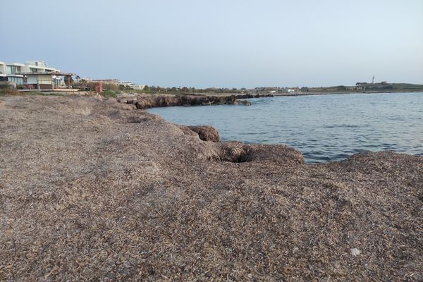 Faros Beach (Lighthouse) in Kato Paphos, Cyprus