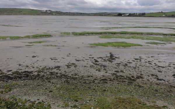 Inchydoney in County Cork, Ireland