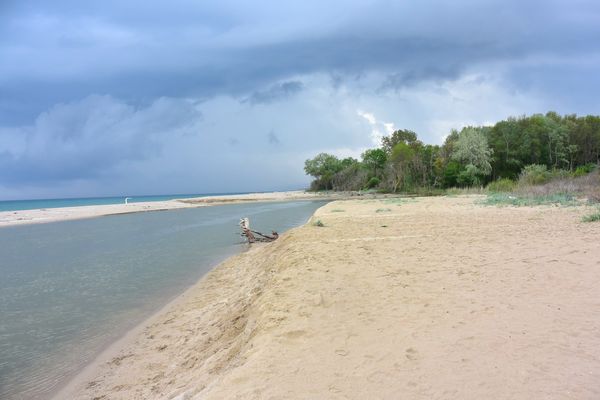 Kamchia River Reserve Beach in Kamchia Biosphere Reserve, Varna, Bulgaria