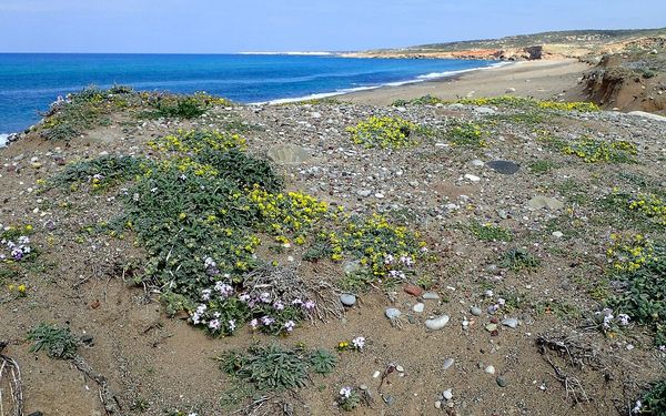 Lara Beach in Akamas Peninsula, Cyprus