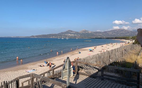 Plage de Calvi in Calvi, Haute-Corse, France