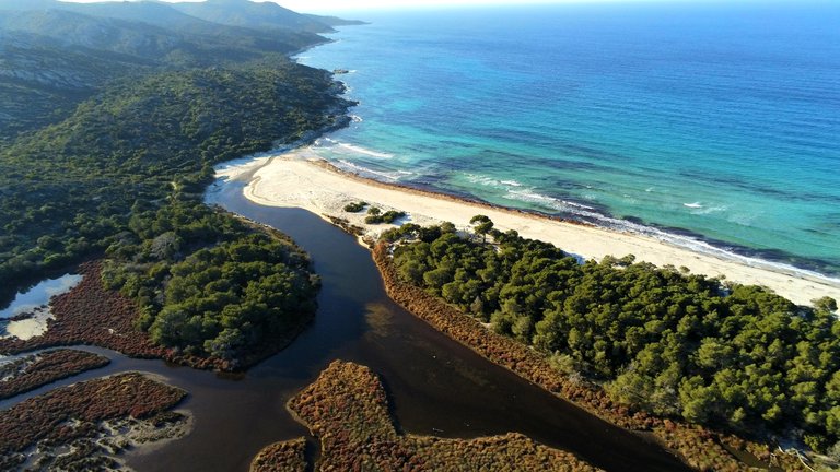 Plage de Saleccia in Corsica (Agriates Desert), France