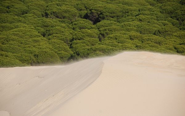 Playa de Bolonia in Tarifa, Costa de la Luz, Spain