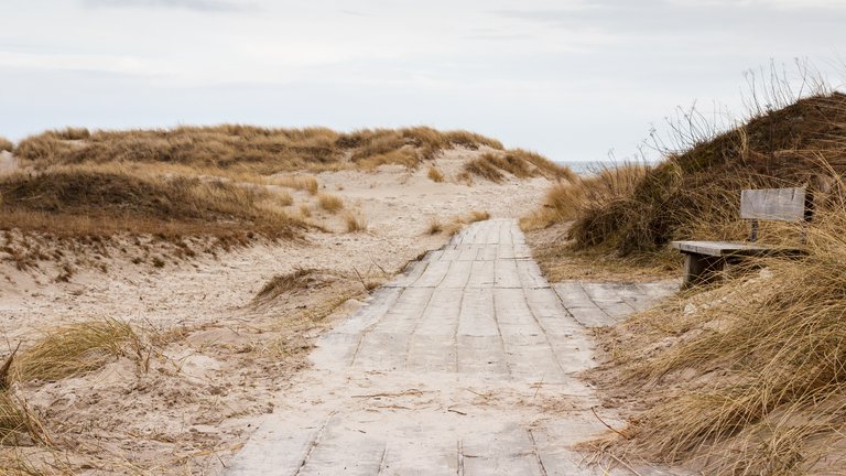 Sandhammaren Beach in Skåne (Ystad / Österlen), Sweden