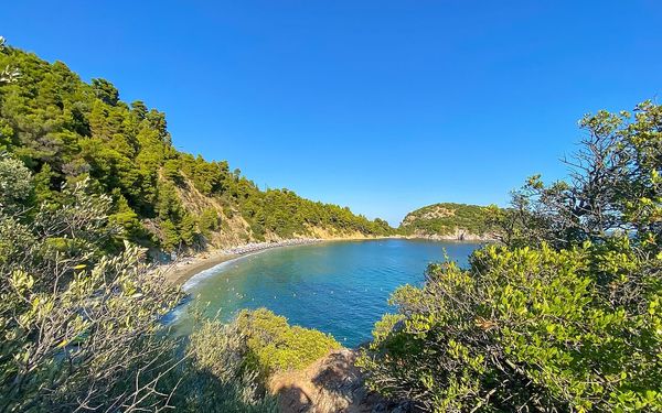 Stafylos Beach in Skopelos, Greece