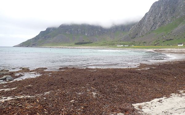 Unstad Beach in Vestvågøy, Lofoten, Norway