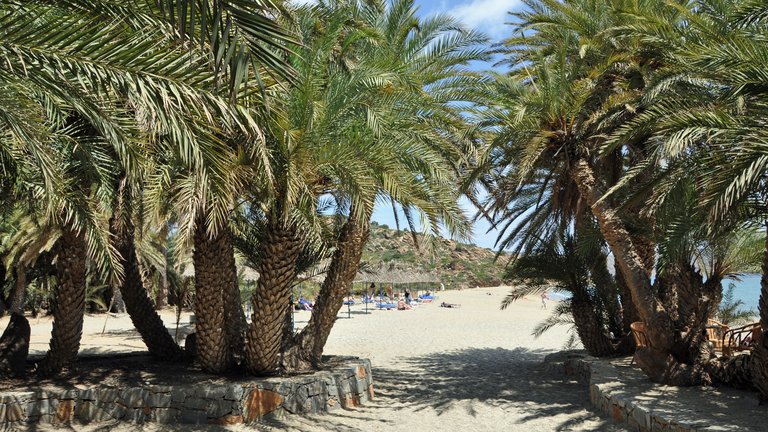 Vai Palm Beach in Crete (Lasithi / Sitia), Greece