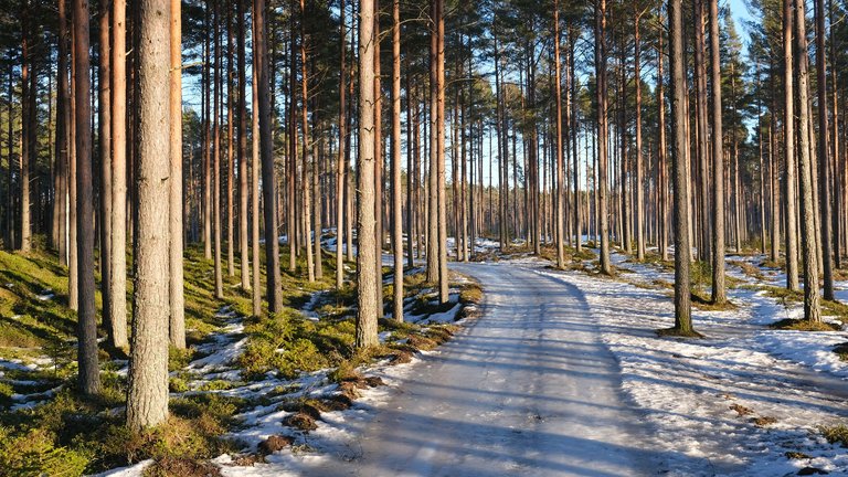Yyteri Beach & Dunes in Satakunta (Pori), Finland