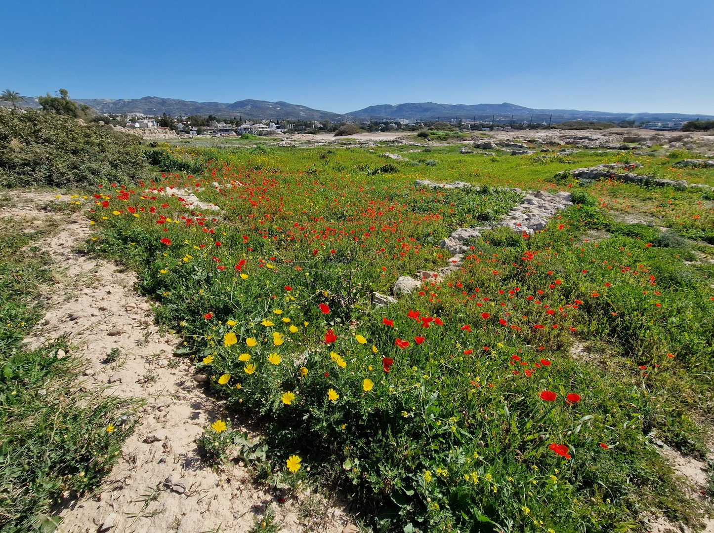 Corallia Beach (Laourou) in Peyia, Paphos, Cyprus