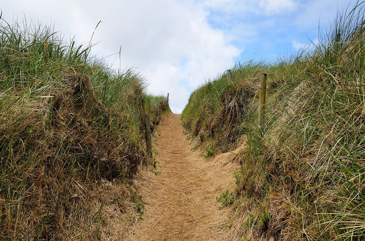 Henne Strand