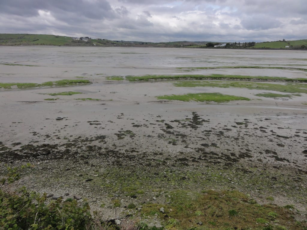 Inchydoney