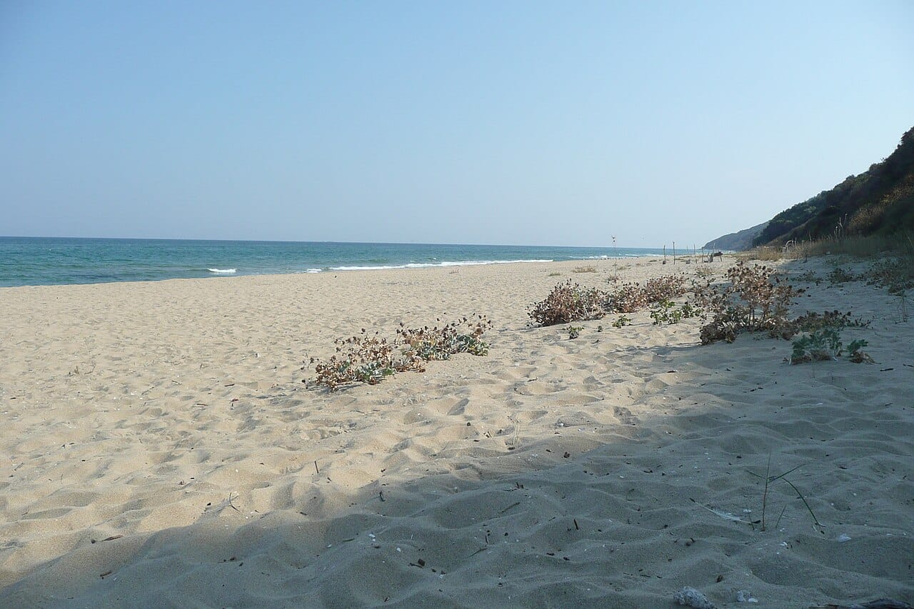 Irakli Beach
