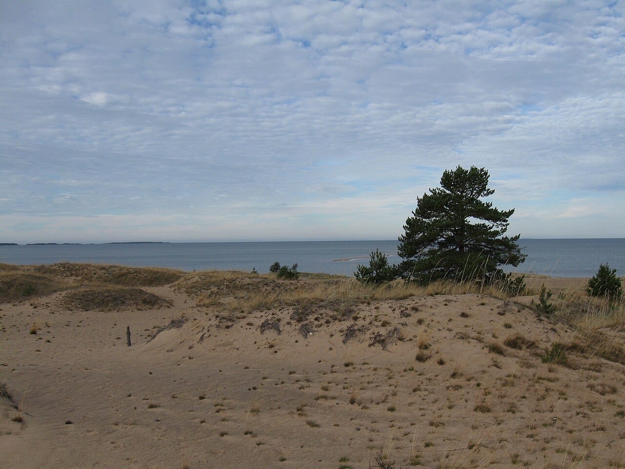 Kalajoki Hiekkasärkät