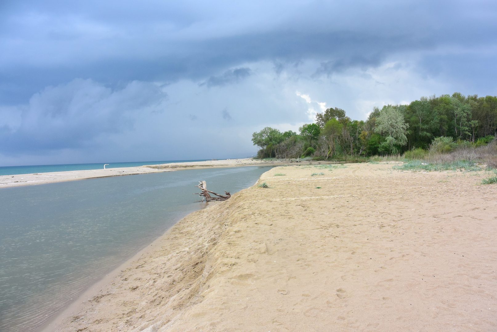 Kamchia River Reserve Beach in Kamchia Biosphere Reserve, Varna, Bulgaria