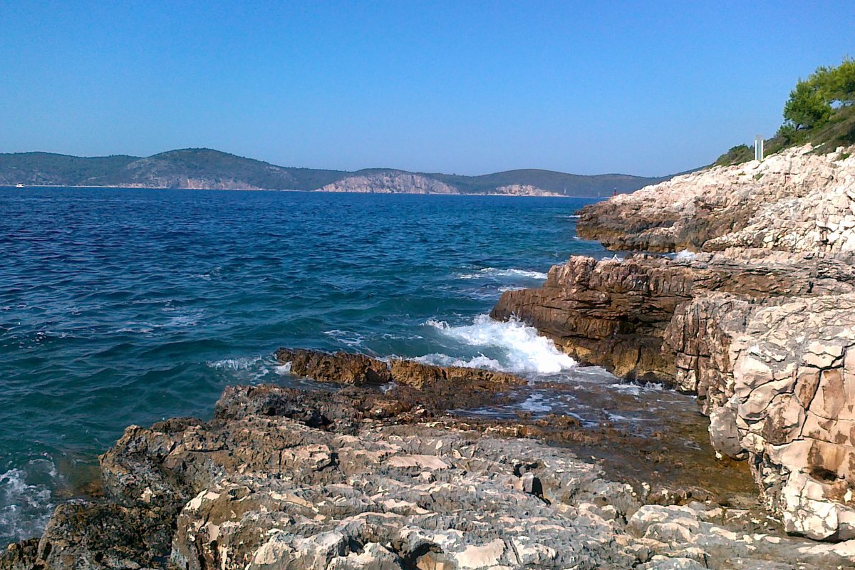 Palmižana