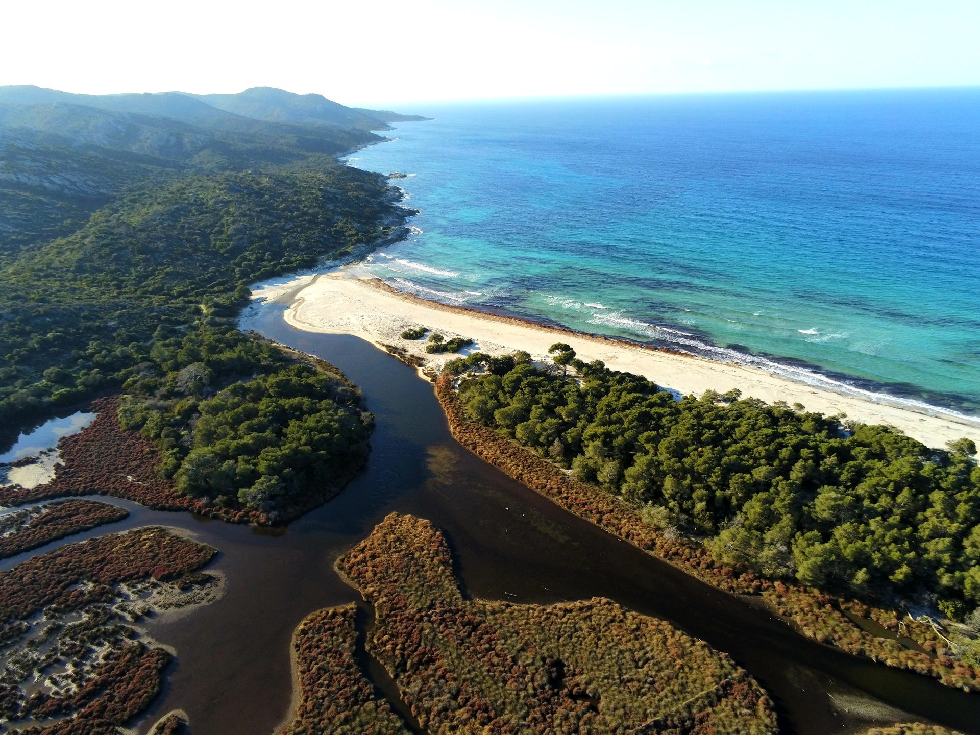 Plage de Saleccia in Corsica (Agriates Desert), France