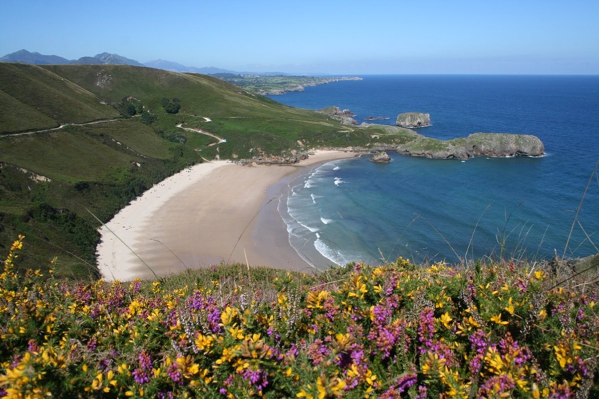 Playa de Torimbia
