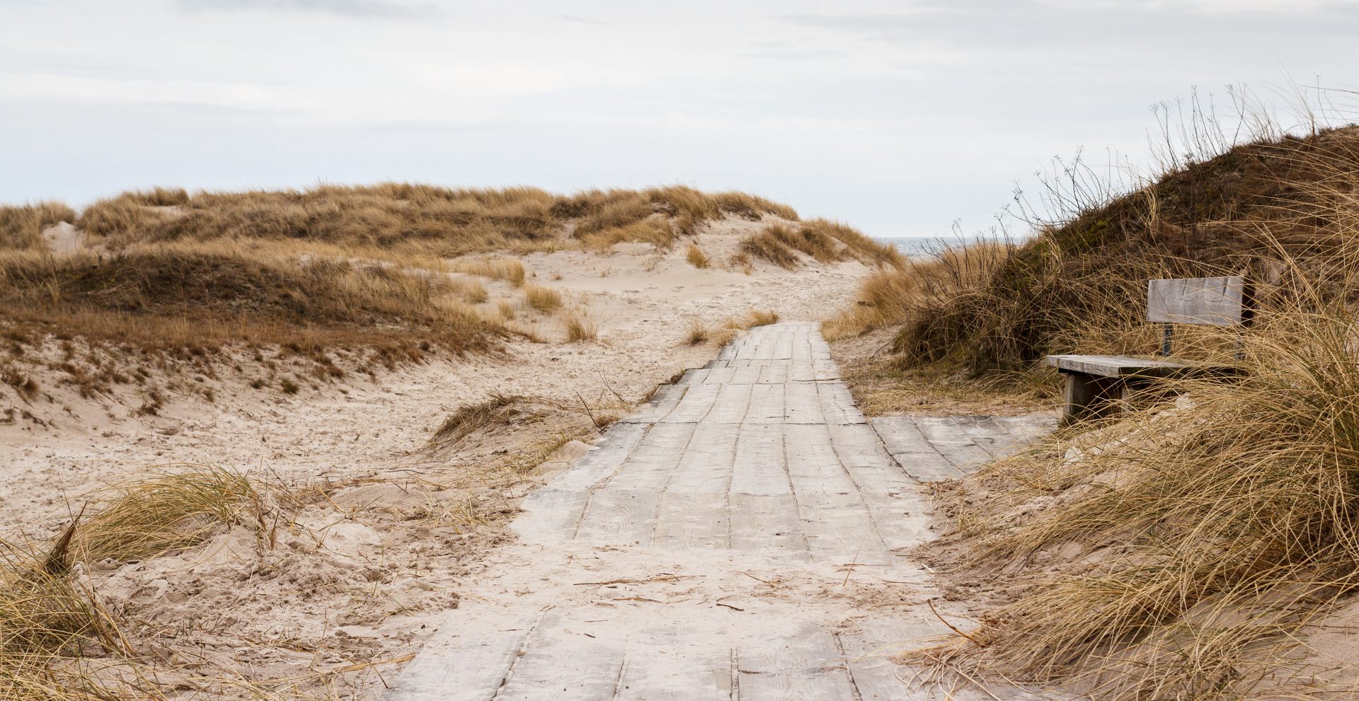 Sandhammaren Beach in Skåne (Ystad / Österlen), Sweden