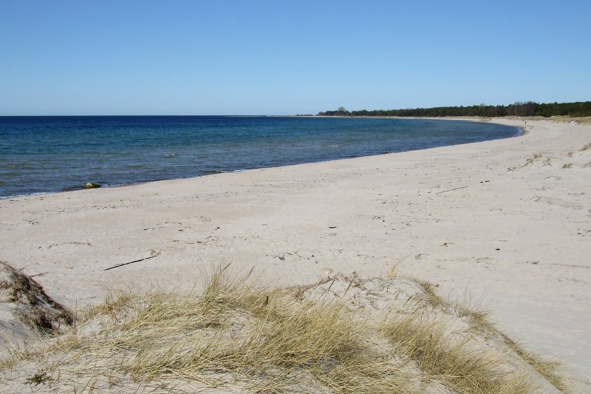Tofta Beach