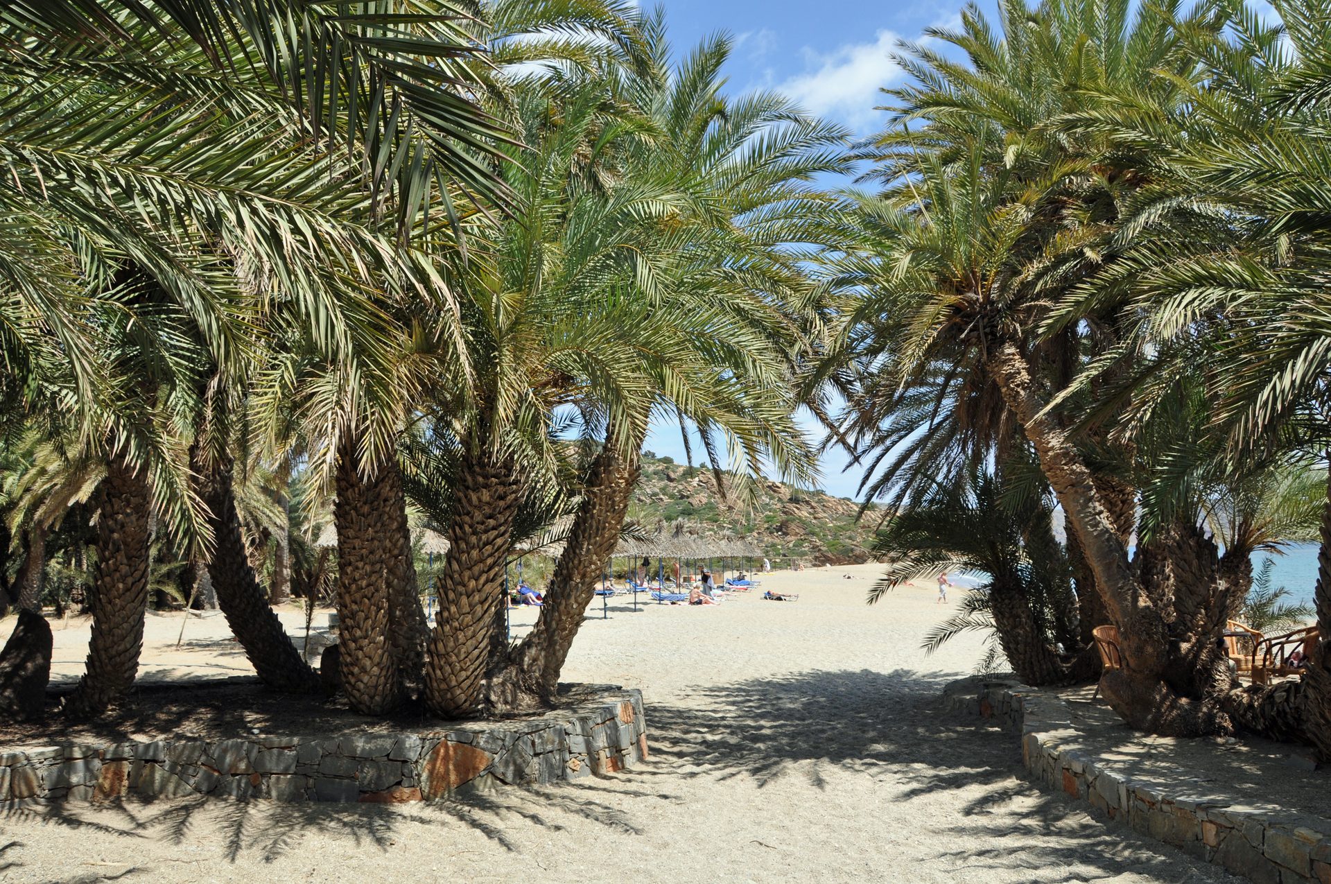 Vai Palm Beach in Crete (Lasithi / Sitia), Greece