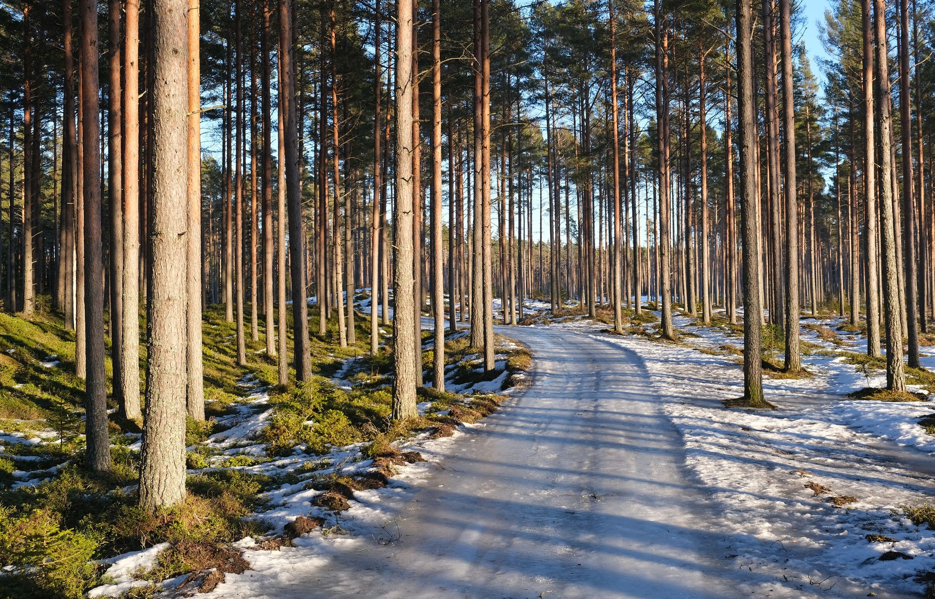 Yyteri Beach & Dunes in Satakunta (Pori), Finland